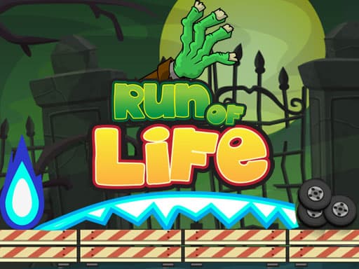 Run of Life Game游戏截图 - arcade - 免费在线游戏