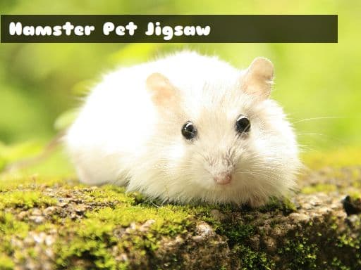 Hamster Pet Jigsaw游戏截图 - multiplayer - 免费在线游戏