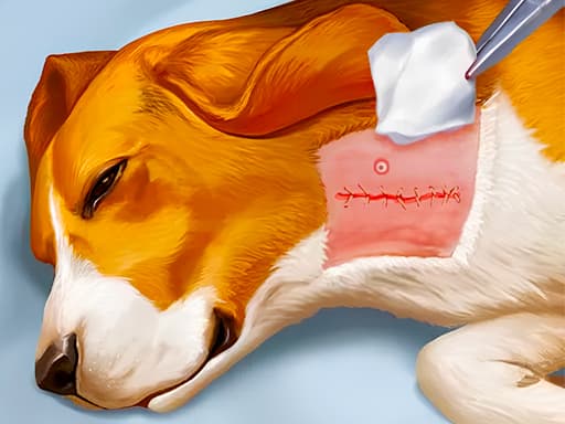 Dog Hospital game screenshot - girls - Free online game
