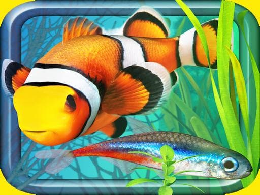Fish Farm - Aquarium Simulator game screenshot - girls - Free online game