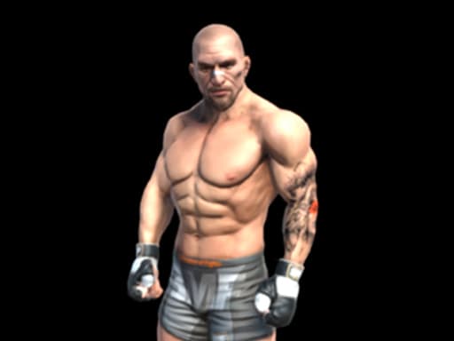 Fight Arena Online游戏截图 - multiplayer - 免费在线游戏