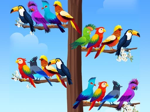 Bird Sort Puzzles游戏截图 - puzzles - 免费在线游戏